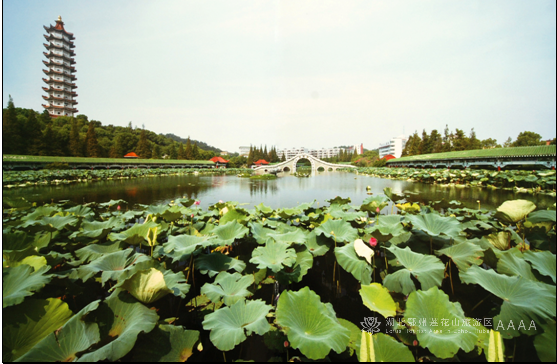 莲花山旅游区开展第二季度讲解服务培训——全员锻造文化传播金名片