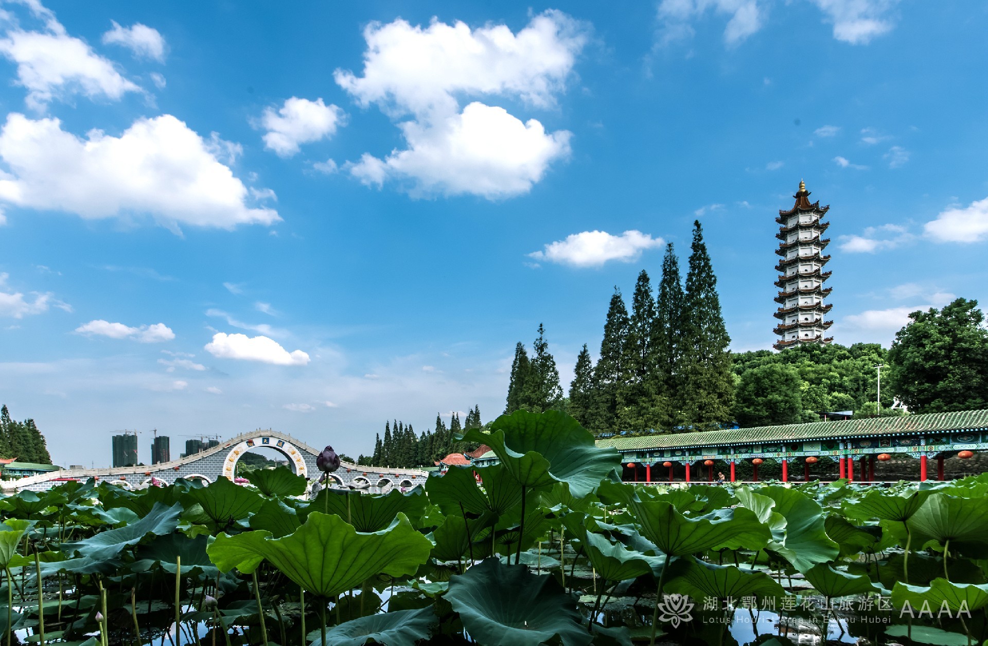 秋季易感，日常养生指南