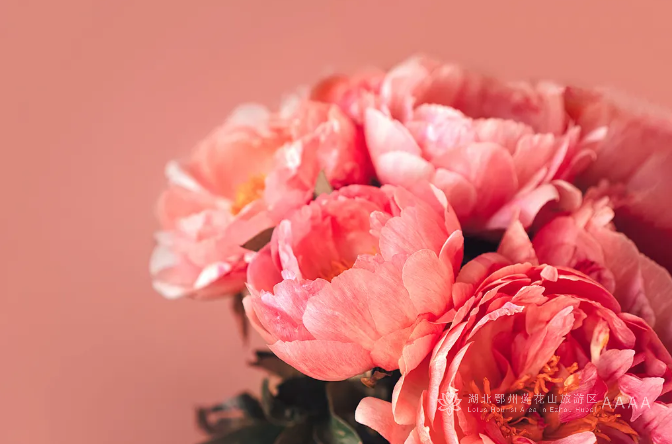 她们，总让人惊喜