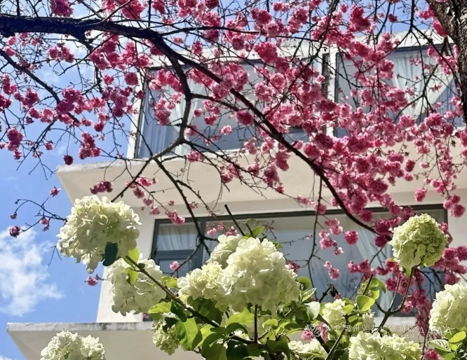 一生是无数个“此刻就很好”的瞬间