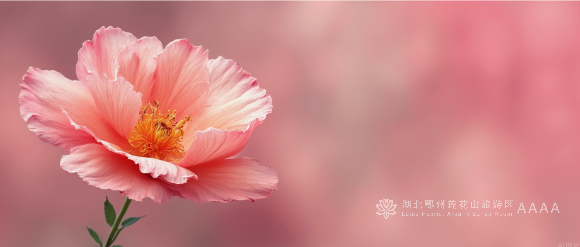 为什么以前不过敏，今年却过敏？专家解答